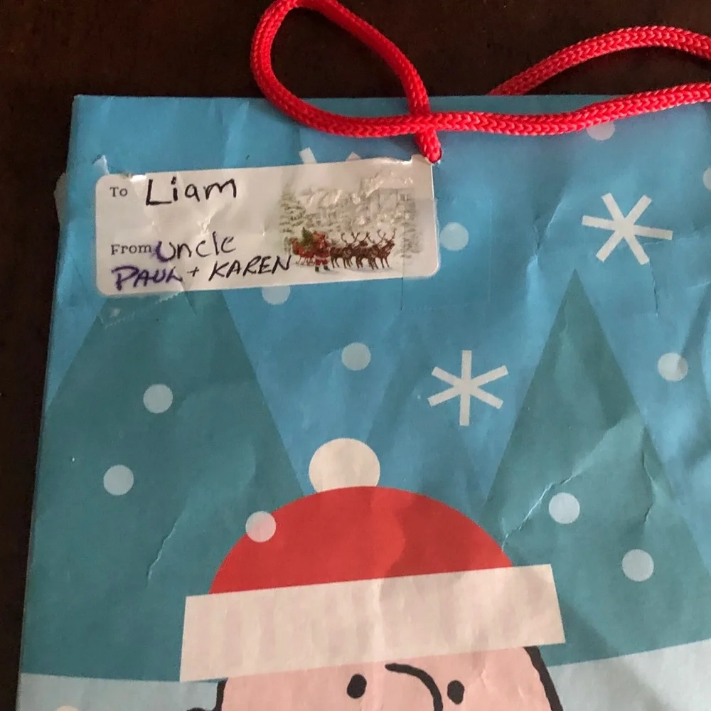 🍄 Holiday Cheer Penguin & Peanuts Snowman Gift Bag Set